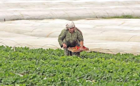 Jordan commits 25 Million Dinar to Increasing Female Participation in the Work Force  